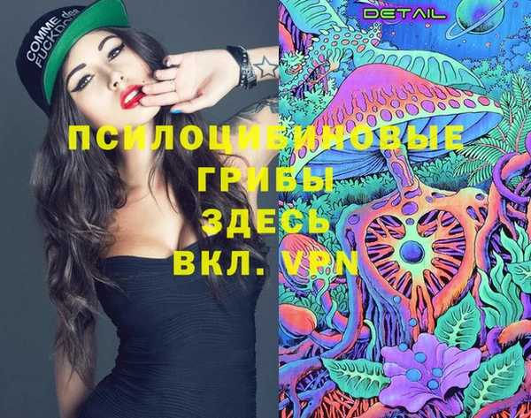 амф Мегион