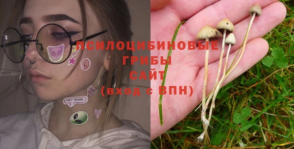 a pvp Медногорск