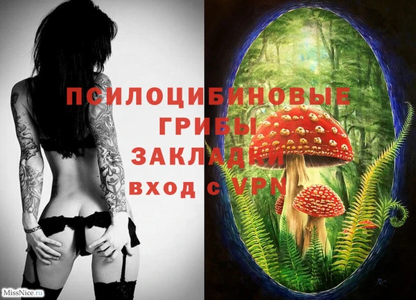 каннабис Гатчина